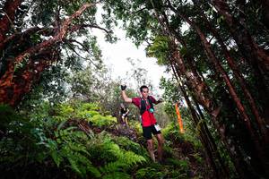 BIB: 
                            <button type="button" onclick="openModal(26201634)" class="btn btn-primary btn-sm float-right btn-popup" data-toggle="modal" data-target=".modal-high-quality">
                        <i class="fas fa-shopping-cart"></i> Add to Cart
                    </button>
                                            <button type="button" onclick="isThisMe(26201634, true)" class="btn btn-success btn-sm float-right btn-popup btn-isme hidden" data-toggle="tooltip" data-placement="bottom" title="นี่คือรูปของคุณใช่ไหม คลิกที่นี่เพื่อเอาเข้าอัลบั้ม">
                        <i class="fas fa-plus"></i> Add to album
                    </button>
                    <button type="button" onclick="isThisMe(26201634, false)" class="btn btn-warning btn-sm float-right btn-popup btn-isnotme hidden">
                        <i class="fas fa-ban"></i> Remove from album
                    </button>